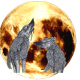wolfmoon-4.webp